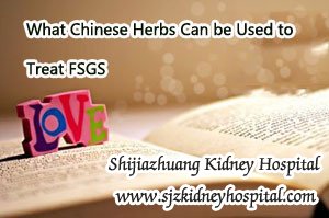What Chinese Herbs Can be Used to Treat FSGS