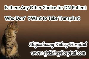 Is there Any Other Choice for DN Patient Who Don’t Want to Take Transplant
