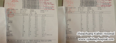 IgA Nephropathy with Creatinine 914: What should I Do