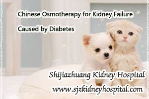 Chinese Osmotherapy for Kidney Failure Caused by Diabetes