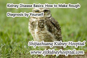 Kidney Disease Basics: How to Make Rough Diagnosis by Yourself