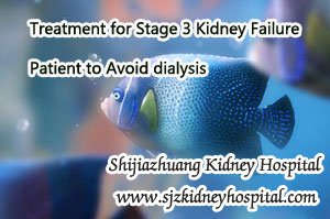 Treatment for Stage 3 Kidney Failure Patient to Avoid dialysis