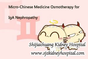 Micro-Chinese Medicine Osmotherapy for IgA Nephropathy
