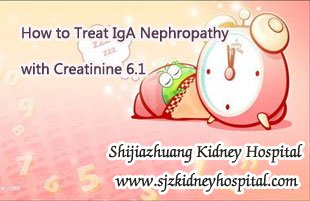 How to Treat IgA Nephropathy with Creatinine 6.1
