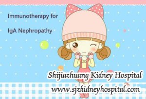 Immunotherapy for IgA Nephropathy