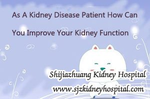 As A Kidney Disease Patient How Can You Improve Your Kidney Function