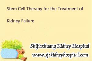 Stem Cell Therapy for the Treatment of Kidney Failure