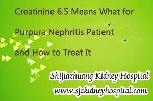 Creatinine 6.5 Means What for Purpura Nephritis Patient and How to Treat It