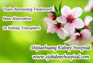 Toxin-Removing Treatment-New Alternative to Kidney Transplant