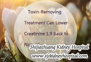 Toxin-Removing Treatment Can Lower Creatinine 1.9 Back to Normal