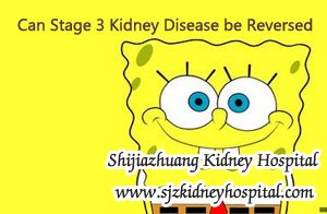 Can Stage 3 Kidney Disease be Reversed