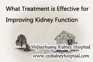 What Treatment is Effective for Improving Kidney Function