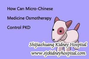 How Can Micro-Chinese Medicine Osmotherapy Control PKD
