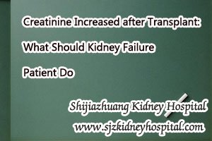 Creatinine Increased after Transplant: What Should Kidney Failure Patient Do