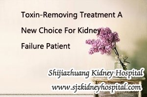 Toxin-Removing Treatment A New Choice For Kidney Failure Patient
