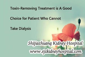 Toxin-Removing Treatment is A Good Choice for Patient Who Cannot Take Dialysis