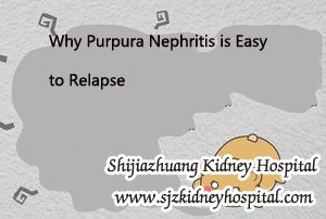 Why Purpura Nephritis is Easy to Relapse
