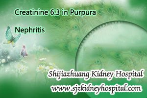 Creatinine 6.3 in Purpura Nephritis