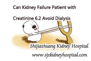 Can Kidney Failure Patient with Creatinine 6.2 Avoid Dialysis