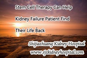 Stem Cell Therapy Can Help Kidney Failure Patient Find Their Life Back