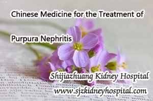 Chinese Medicine for the Treatment of Purpura Nephritis