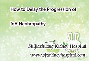How to Delay the Progression of IgA Nephropathy
