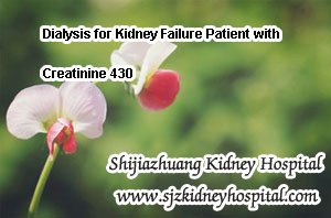 Dialysis for Kidney Failure Patient with Creatinine 430