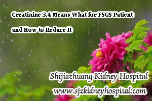 Creatinine 3.4 Means What for FSGS Patient and How to Reduce It