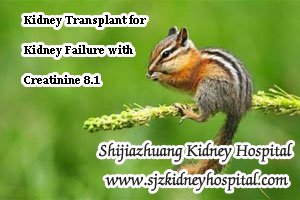 Kidney Transplant for Kidney Failure with Creatinine 8.1