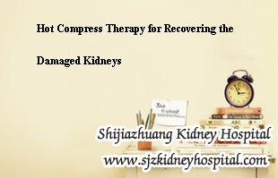 Hot Compress Therapy,Damaged Kidneys,Recovering the Damaged Kidneys