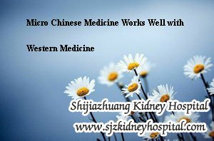 Micro Chinese Medicine Works Well with Western Medicine