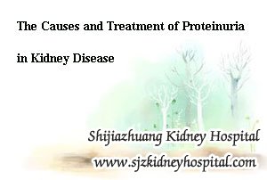 The Causes and Treatment of Proteinuria in Kidney Disease