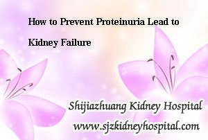 How to Prevent Proteinuria Lead to Kidney Failure