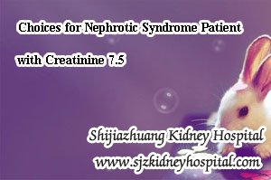 Choices for Nephrotic Syndrome Patient with Creatinine 7.5
