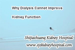 Why Dialysis Cannot Improve Kidney Function