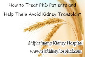 PKD,Avoid Kidney Transplant,Restore Kidney Function
