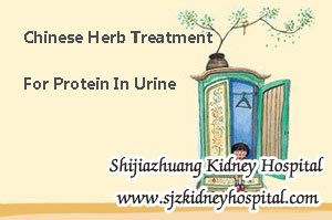 Chinese Herb Treatment For Protein In Urine