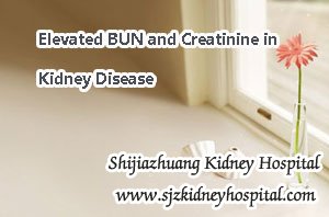 Elevated BUN and Creatinine in Kidney Disease