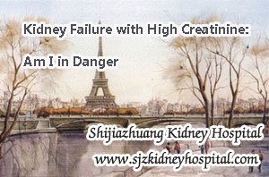 Kidney Failure with High Creatinine: Am I in Danger