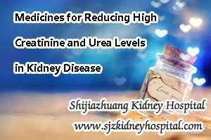 Medicines for Reducing High Creatinine and Urea Levels in Kidney Disease