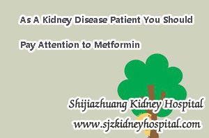 As A Kidney Disease Patient You Should Pay Attention to Metformin