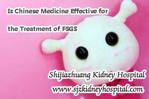 Is Chinese Medicine Effective for the Treatment of FSGS