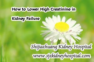 How to Lower High Creatinine in Kidney Failure