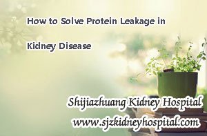 How to Solve Protein Leakage in Kidney Disease