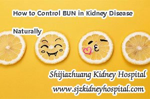 How to Control BUN in Kidney Disease Naturally