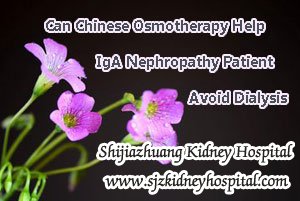 Can Chinese Osmotherapy Help IgA Nephropathy Patient Avoid Dialysis