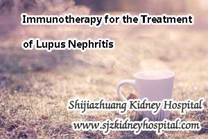 Immunotherapy for the Treatment of Lupus Nephritis