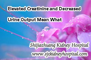 Elevated Creatinine and Decreased Urine Output Mean What