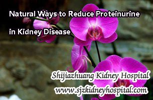Natural Ways to Reduce Proteinurine in Kidney Disease