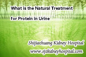 What is the Natural Treatment for Protein in Urine